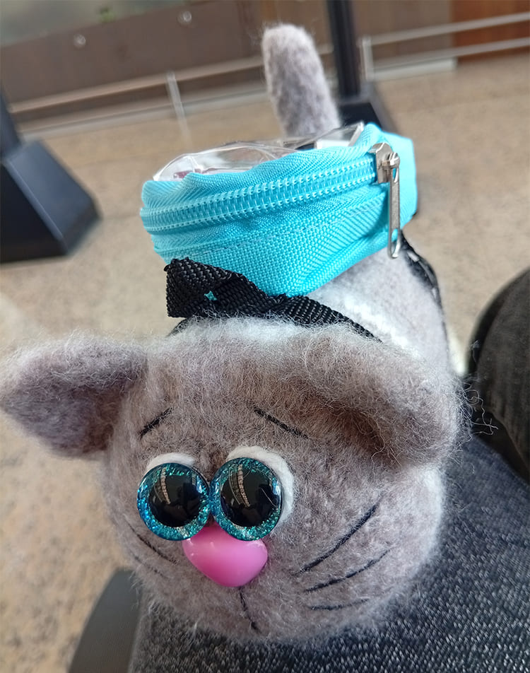 Мягкая игрушка кот с рюкзаком.